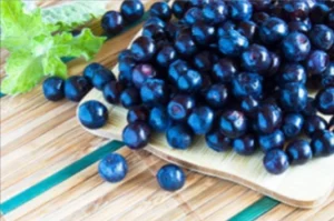 TheyaVue Inredients Bilberry Extract